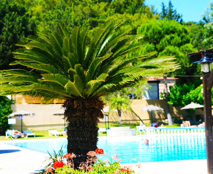 Achousa Hotel Faliraki Exteriör bild